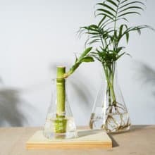 好好養水耕系列 - 小水耕系列 禮物