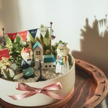 【竒植花物】可愛仙人掌多肉盆栽 生日禮物 情人節/結婚禮物