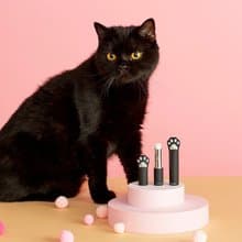 CATISS 貓掌護唇膏 - 黑貓純淨水潤 | 禮品首選