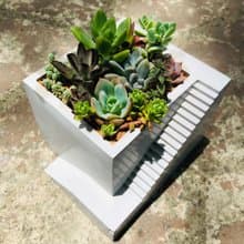 【送禮盆栽】多肉植物/純手工方形樓梯造型水泥盆2色(白/灰)