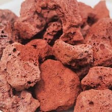 【荳荳多肉】【紅火山岩(粗)】喬遷│送禮│升遷│多肉植物│