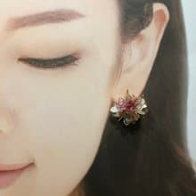 Sandra 純粹 小花園