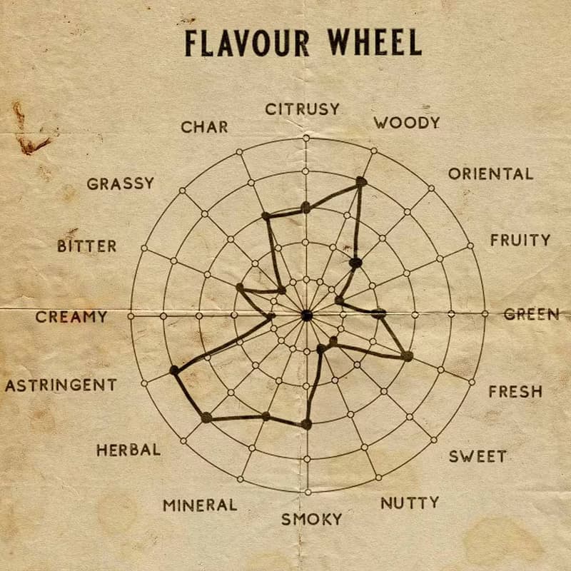 Senteur Lab-純茗流光系列茶香水50ml - 茶園初露