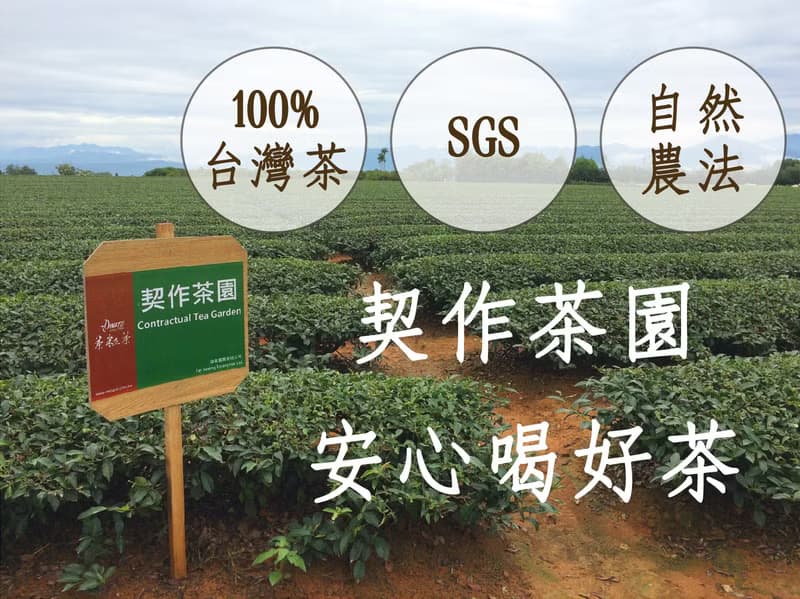【茶粒茶】原片茶葉 尊爵黑罐-梨山茶
