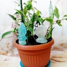 Planter decoration Sea glass decor Indoor decoration Zen garden potted Gardener