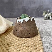 富士山多肉植物盆栽花器