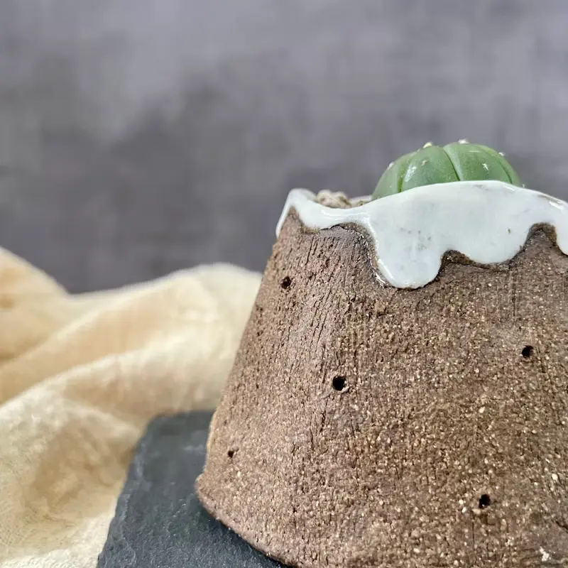 富士山多肉植物盆栽花器