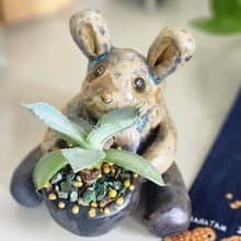 O唯一O萌兔兔森林精靈*陶製盆器*開幕.新居.升遷.生日.盆栽賀禮