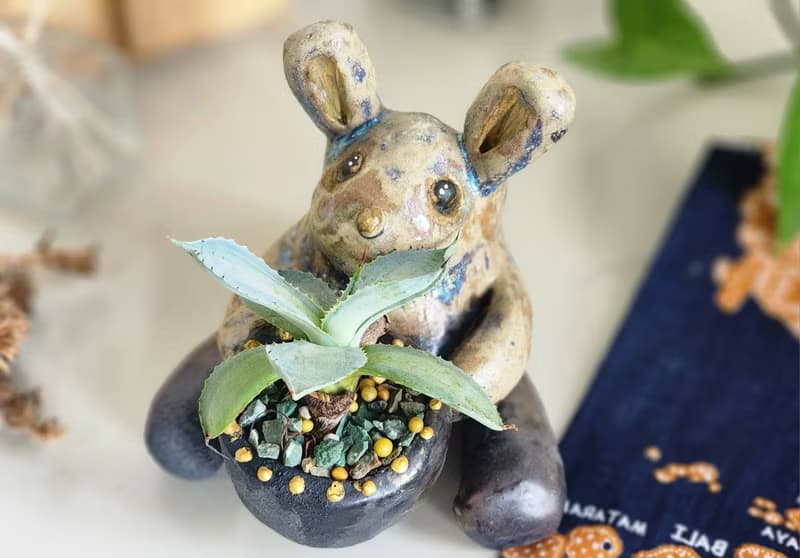 O唯一O萌兔兔森林精靈*陶製盆器*開幕.新居.升遷.生日.盆栽賀禮