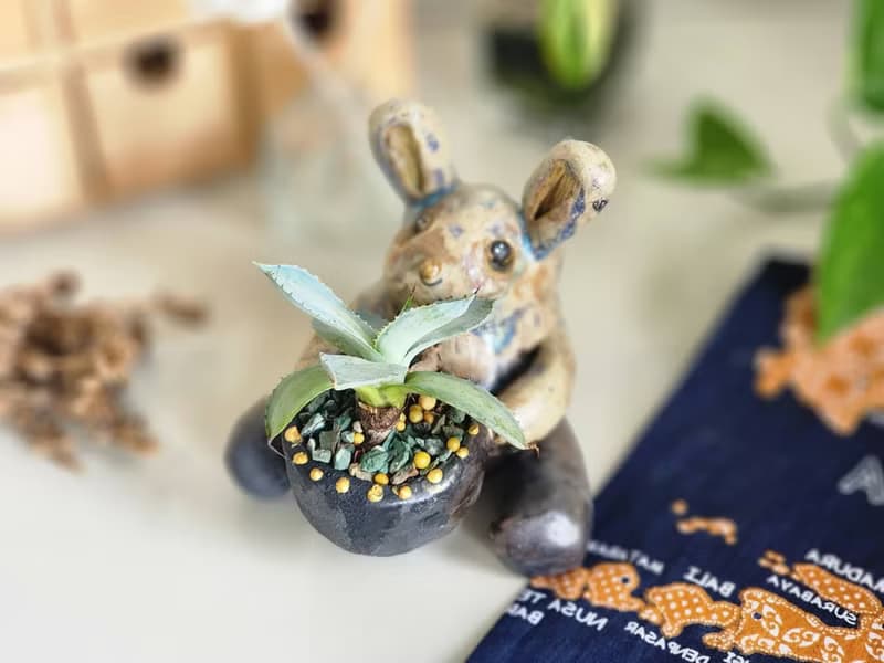 O唯一O萌兔兔森林精靈*陶製盆器*開幕.新居.升遷.生日.盆栽賀禮