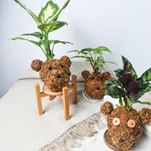 李的綠意花園 熊熊苔球材料包 水苔球 苔球 手做材料包 親子活動