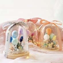 S35夢想起飛玻璃罩盅 / 畢業禮物 可愛公仔玻璃花盅