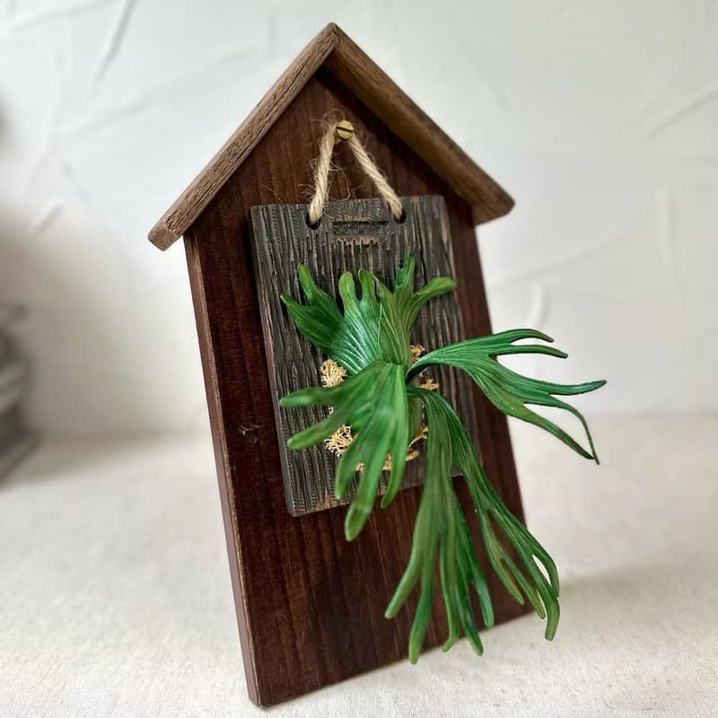 爪哇鹿角蕨 Platycerium willinckii 手工皮革掛飾 送禮