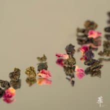 【山茶花香】冬柏烏龍 | 原片茶葉