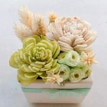 生日情人節禮物 法式香頌2號 貴氣優雅盆花栽七夕情人節花束