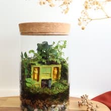 【微景觀】深入蘚境 - 苔蘚組盆/交換禮物/遺跡/探險
