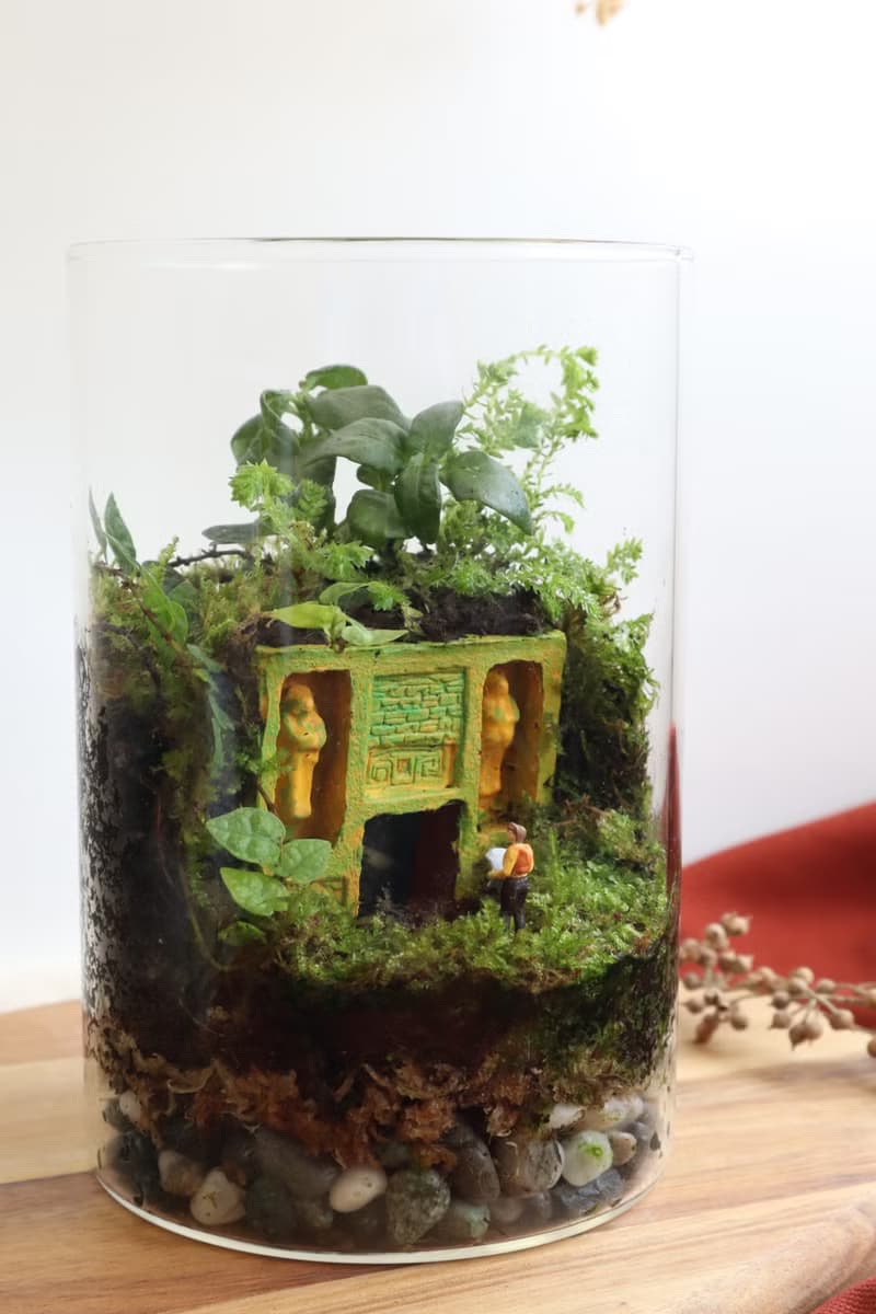 【微景觀】深入蘚境 - 苔蘚組盆/交換禮物/遺跡/探險