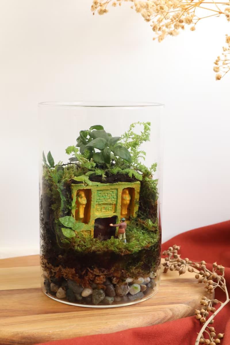 【微景觀】深入蘚境 - 苔蘚組盆/交換禮物/遺跡/探險