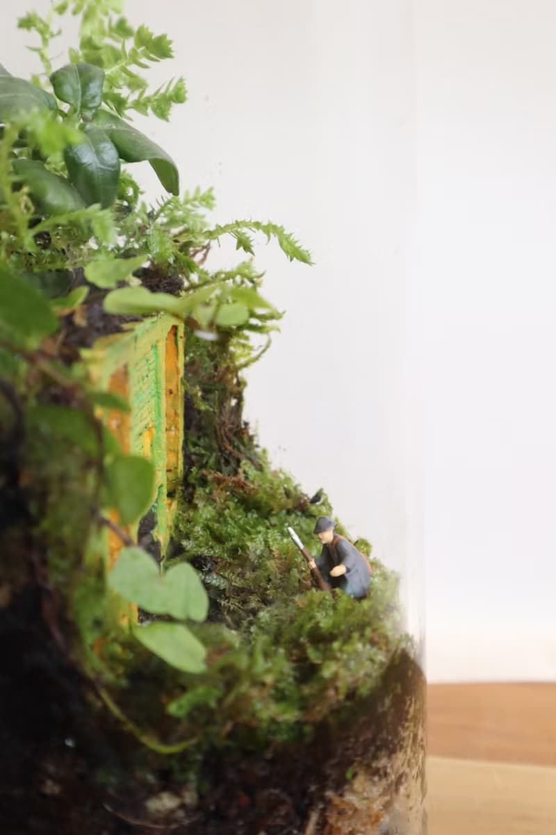 【微景觀】深入蘚境 - 苔蘚組盆/交換禮物/遺跡/探險