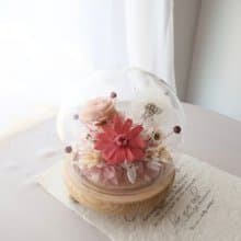 浪漫粉橘永生小夜燈圓形玻璃鐘罩 附盒子 情人節禮物 生日禮物