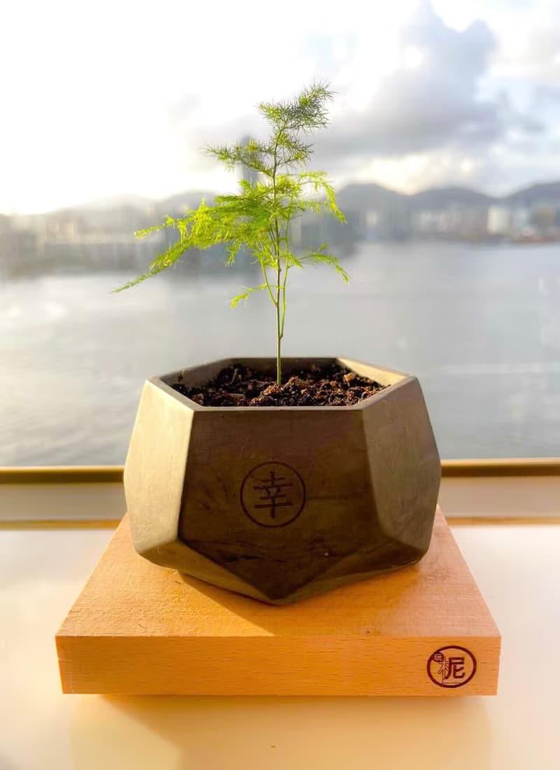 【體驗】【體驗】水泥 植物角盆 Workshop 手作 工作坊 週年 生日 轉運來