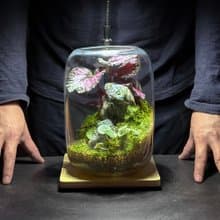 礦石風水生態缸 - 彩墨山水 / 拉長石