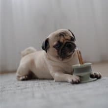 【Lunoji】 CHEWDEN 咬咬握 - 啃咬 安全 抗憂解