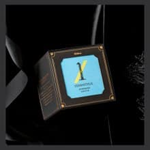 桂花金萱茶・清新雅緻・可回沖3壺 |禮盒茶包10入