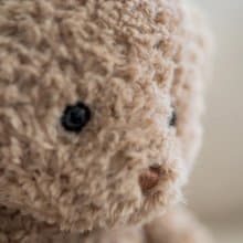 北歐 瑞典 Teddykompaniet 復古泰迪熊