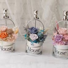 藍芯花藝 炫光小熊盆花 情人節禮物 母親節 生日禮物 母親節禮盒