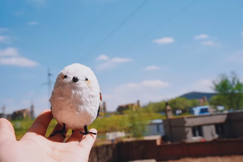 【新手友好系列】小雪球銀喉長尾山雀DIY材料包 原創毛絨玩偶玩具