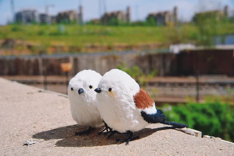 【新手友好系列】小雪球銀喉長尾山雀DIY材料包 原創毛絨玩偶玩具