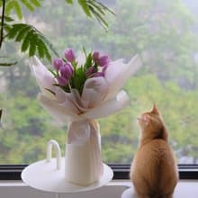 畢業 鬱金香 韓式花束  生日花束 女友禮物