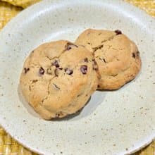 【軟餅乾系列】原味可可豆