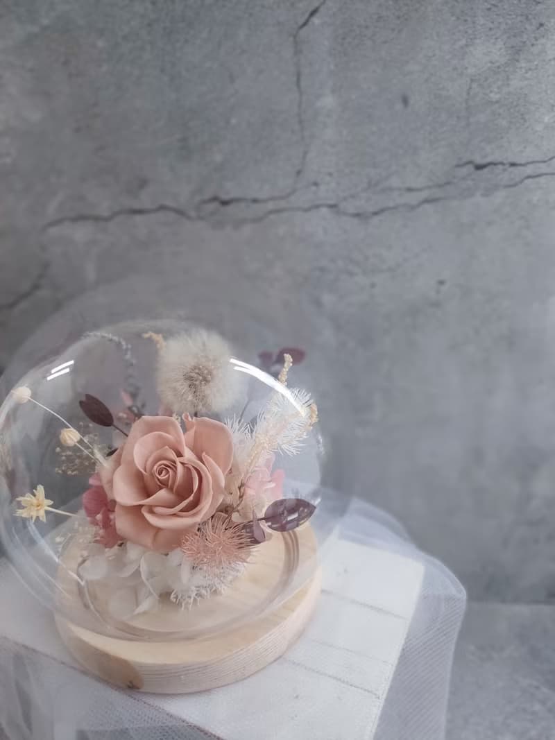 永生不凋花-蒲公英玻璃花盅 鐘罩 畢業 老師禮物