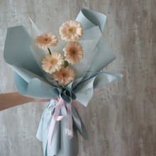 五朵 非洲菊 太陽花 鮮花花束/限台中地區