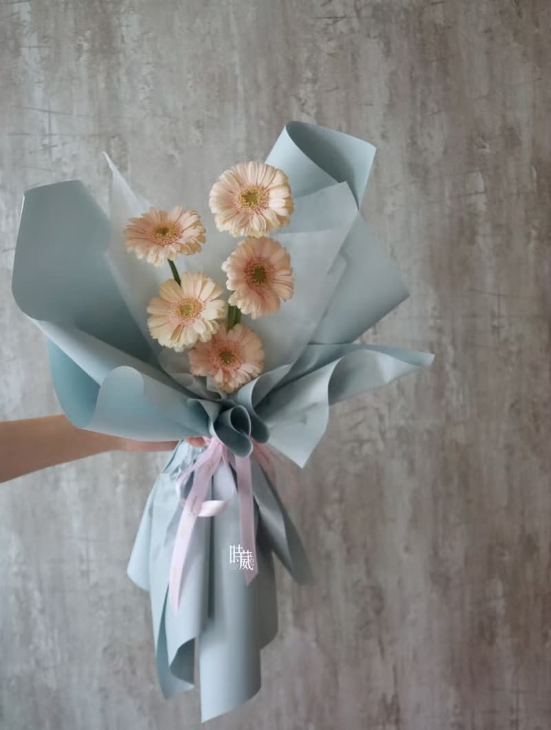 五朵 非洲菊 太陽花 鮮花花束/限台中地區