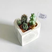 【情人節禮物首選】愛心渲染水泥盆 附小動物 多肉植物 仙人掌