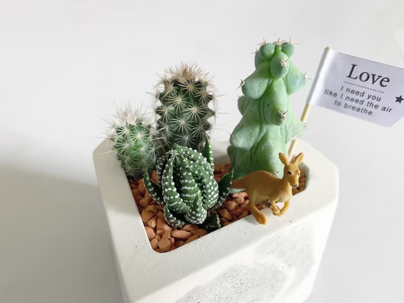 【情人節禮物首選】愛心渲染水泥盆 附小動物 多肉植物 仙人掌