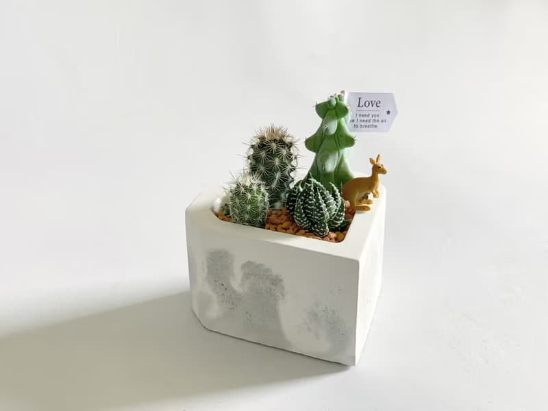 【情人節禮物首選】愛心渲染水泥盆 附小動物 多肉植物 仙人掌