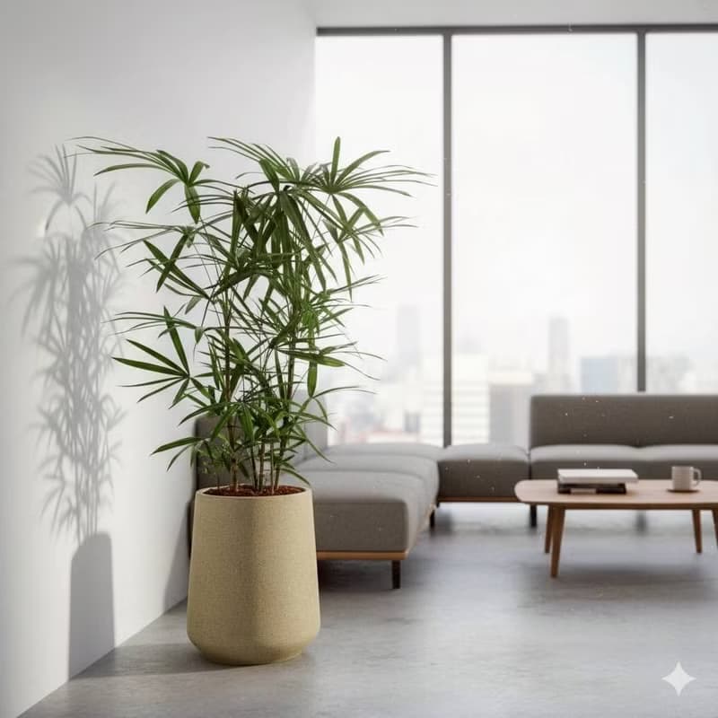 棕櫚竹水泥盆栽 落地盆栽 大盆栽 拿鐵棕磨石子花盆 開幕送禮
