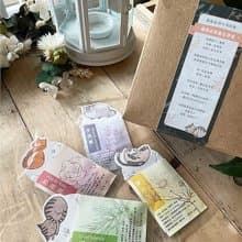 文聚 貓與自然農 貓咪花草茶 綜合 禮盒- 四款風味 【聖誕禮物】