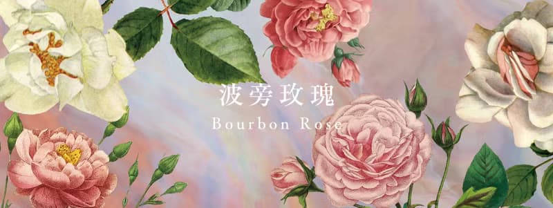 【春及殿】波旁玫瑰 Bourbon Rose 手工香氛蠟燭