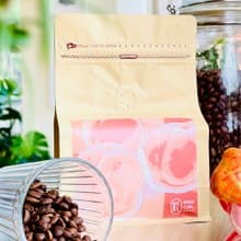 衣索比亞 桃可可 咖啡豆 日曬 225g  中淺烘焙 西達摩 Sidamo