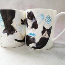 合作插畫藝術家-秋謙 水彩動物骨瓷杯-賓士貓  陶瓷馬克杯 骨瓷