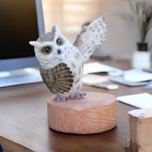 ZOOCRAFT擬真動物系列 可愛長耳貓頭鷹造型桌上手機架/手機座