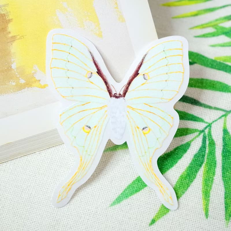 臺灣特有種 臺灣長尾水青蛾 繪畫防水PVC白墨底大貼紙