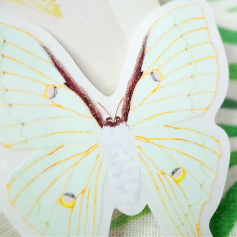 臺灣特有種 臺灣長尾水青蛾 繪畫防水PVC白墨底大貼紙