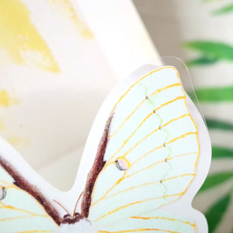 臺灣特有種 臺灣長尾水青蛾 繪畫防水PVC白墨底大貼紙