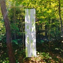 窓を絵画にするタペストリー　7月　青田